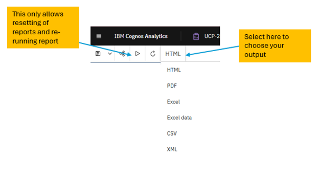 Screenshot of future Cognos interface
